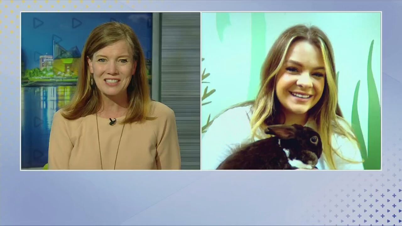 3 Plus Your Community- Hug a Bunny Days